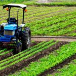 Proizvodnja i poljoprivreda